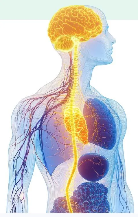 Person wearing the Pulsetto device around the neck while relaxing